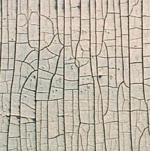 Common Paint Problems and Solutions - alligatoring