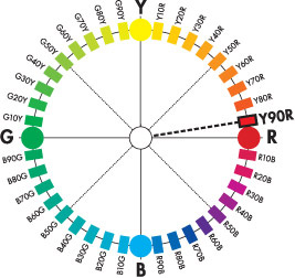 NCS Colour Circle