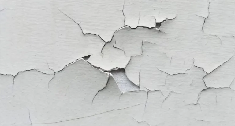 Solutions to common paint problems provided by Prominent Paints' expert advice and high-quality products